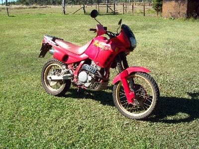 92 Honda NX 650 Dominator