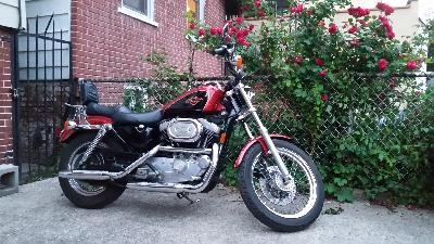 98 Harley-Davidson 1200 Sportster