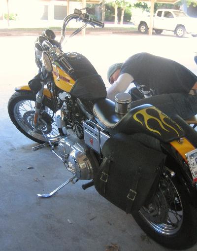 01 Harley-Davidson Sportster 1200 Custom