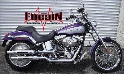 01 Harley-Davidson Softail Deuce Injection